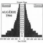 Les pyramides des âges du Maghreb pendant les années 1960