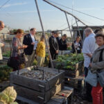 L’institut des hautes études d’aménagement des territoires (IHEDATE), écologie et territoires au plus haut niveau