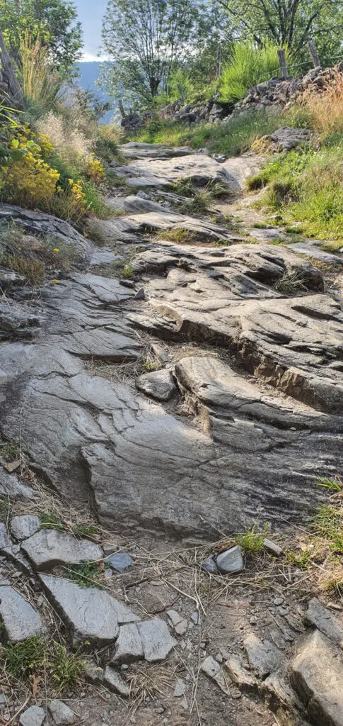 Chemin recouvert de pierres sur le chemin de Saint-Jacques