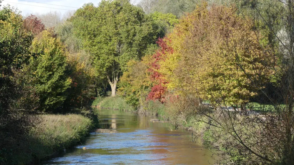 L'exemple de l'Orge en Essonne permet d'illustrer l'importance du rôle des élus dans la gestion de l'eau