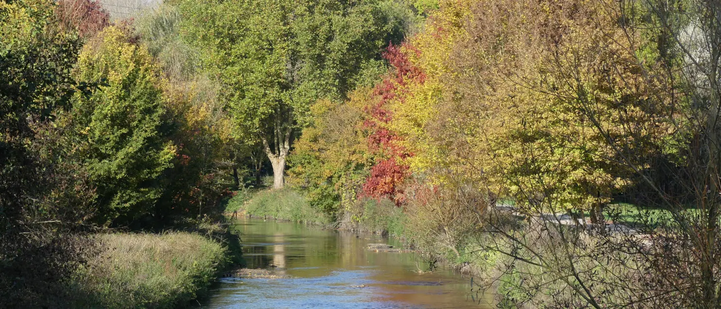 L'exemple de l'Orge en Essonne permet d'illustrer l'importance du rôle des élus dans la gestion de l'eau