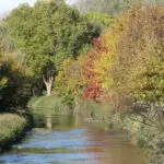 L'exemple de l'Orge en Essonne permet d'illustrer l'importance du rôle des élus dans la gestion de l'eau