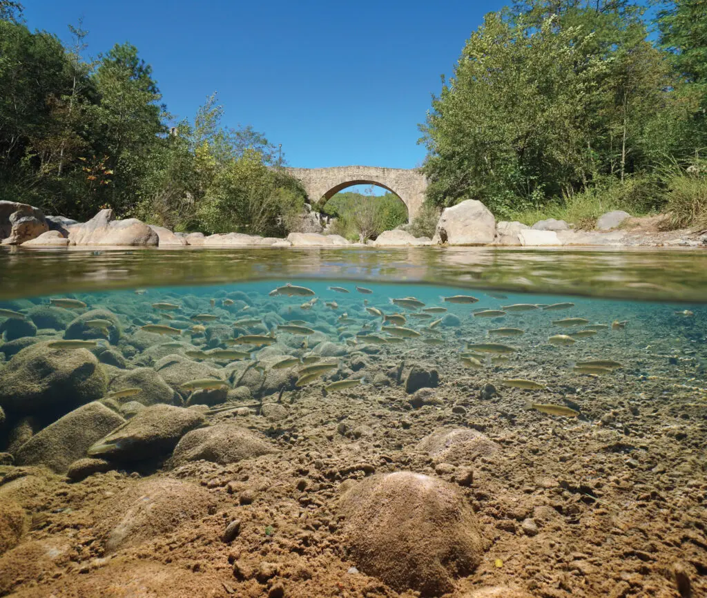 Rivière à Sant Llorenç de la Muga, Catalogne, Espagne.