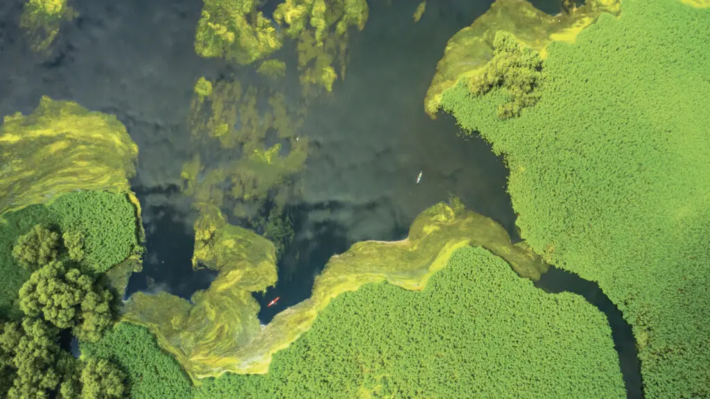 Vue aérienne du delta du Danube.