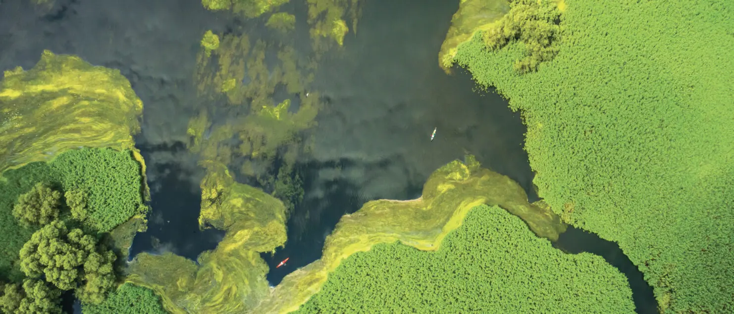 Vue aérienne du delta du Danube.