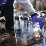 La directive-cadre sur l’eau a introduit l’enjeu clé du « bon état écologique » (qui inclut nécessairement un bon état physico-chimique et quantitatif), lequel est lui-même évalué par une batterie d’indicateurs biologiques.