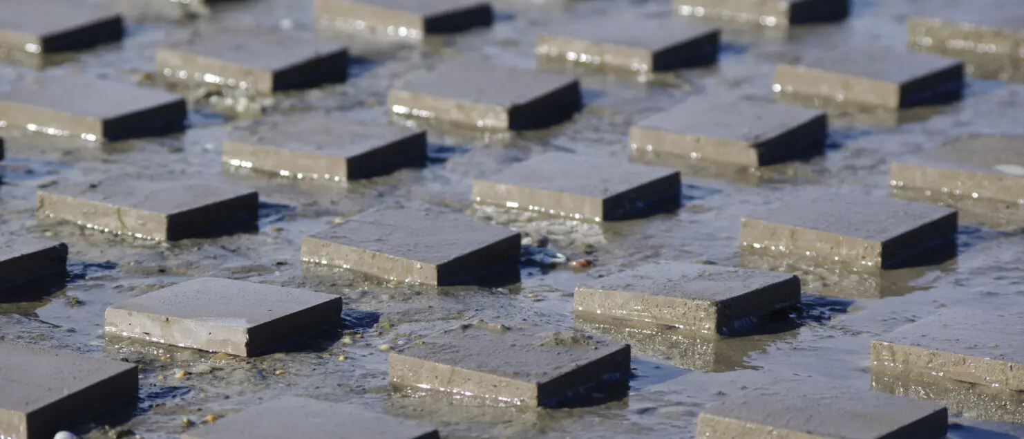 Carreaux Gwilen dans leur élément