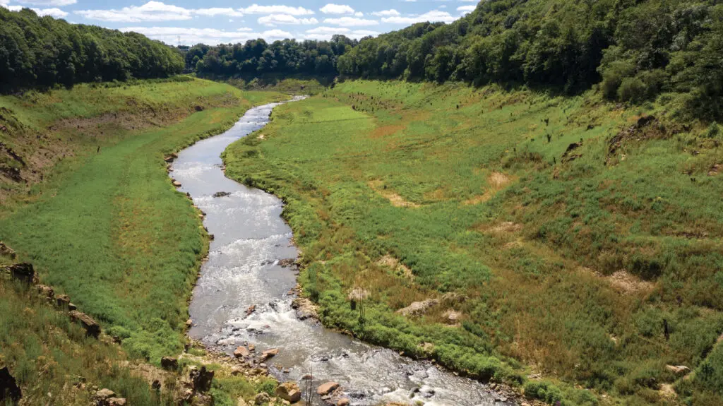 Financée à hauteur de 53 M€ par l’agence de l’eau Seine-Normandie, la restauration de la Sélune, un projet emblématique à l’échelle européenne, apporte déjà d’importants bénéfices pour la biodiversité.