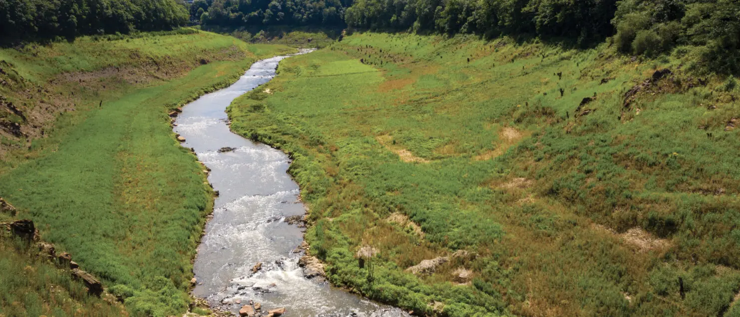 Financée à hauteur de 53 M€ par l’agence de l’eau Seine-Normandie, la restauration de la Sélune, un projet emblématique à l’échelle européenne, apporte déjà d’importants bénéfices pour la biodiversité.