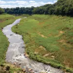 Financée à hauteur de 53 M€ par l’agence de l’eau Seine-Normandie, la restauration de la Sélune, un projet emblématique à l’échelle européenne, apporte déjà d’importants bénéfices pour la biodiversité.