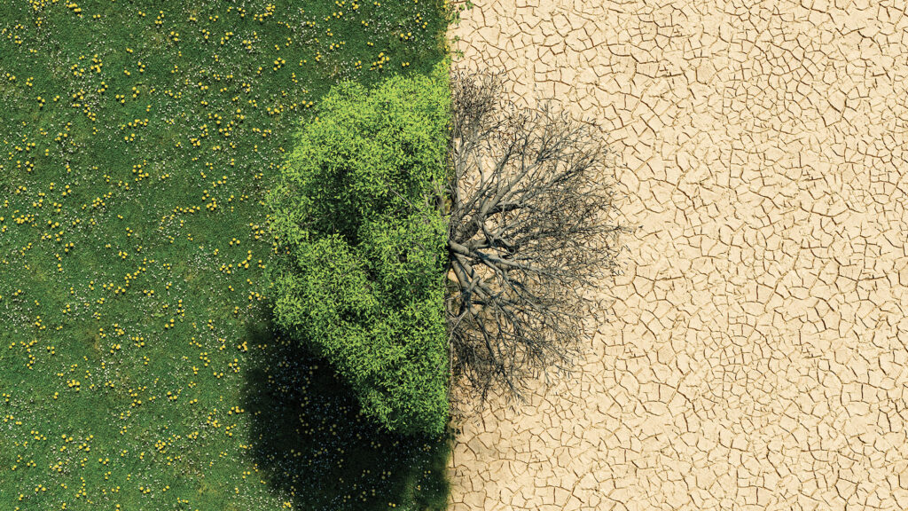 Urgence écologique : le dialogue, condition indispensable de l’action commune