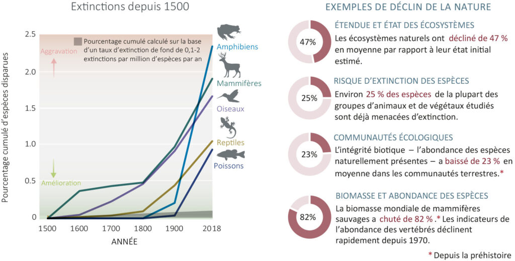 Figure 2 : Effondrement de la biodiversité. Rapport de 2019 de l’IPBES 
(Plateforme intergouvernementale scientifique et politique sur la biodiversité 
et les services écosystémiques). 